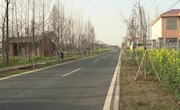 徐桢：扎实建设“四好”农村路 铺好民生路、幸福路、致富路