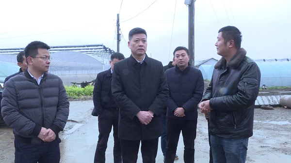 王先波调研乡镇.jpg