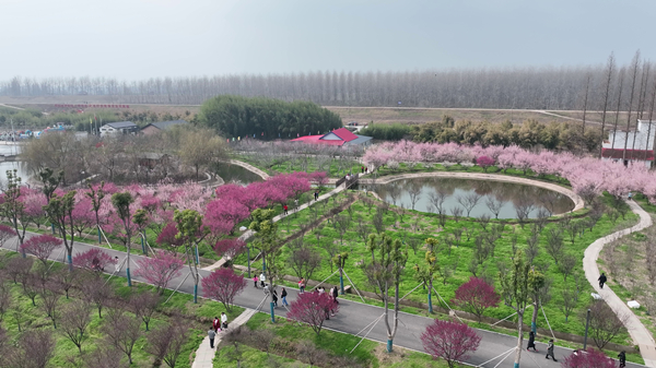 石首考察5.jpg