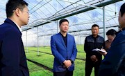 抢抓农时 不误农事 全力抓好粮食生产工作