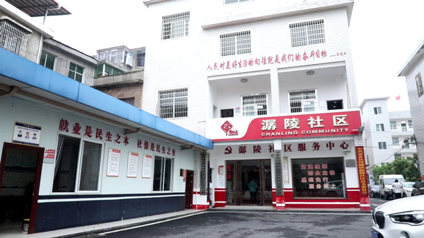 深柳5.jpg