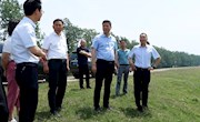 扎实推进河道清杨扫障工作 筑牢防汛安全屏障
