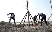 安乡：又是一年春意浓 植树添绿正当时