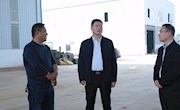 王先波到黄山头镇调研：真抓实干建设产业强镇