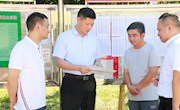 王先波调研督导乡镇群众身边不正之风与腐败问题集中整治工作