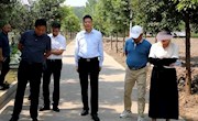 王先波：提升品质 开拓市场 着力推动粮食产业高质量发展