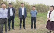 上海合成生物学创新中心来安考察合成生物产业发展情况