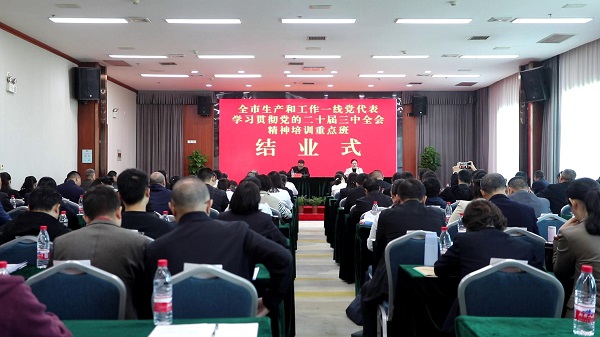 046A9393[00-00-01][20241025-113122241].jpg