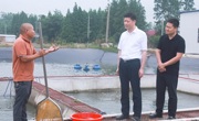 王先波到三岔河镇调研相关重点工作