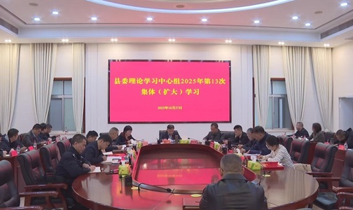 县委理论学习中心组开展2025年第13次集体（扩大）学习