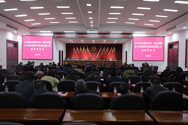 安乡县召开2025年度乡镇党委书记、县直正科级以上单位党组织书记抓基层党建工作述职评议会