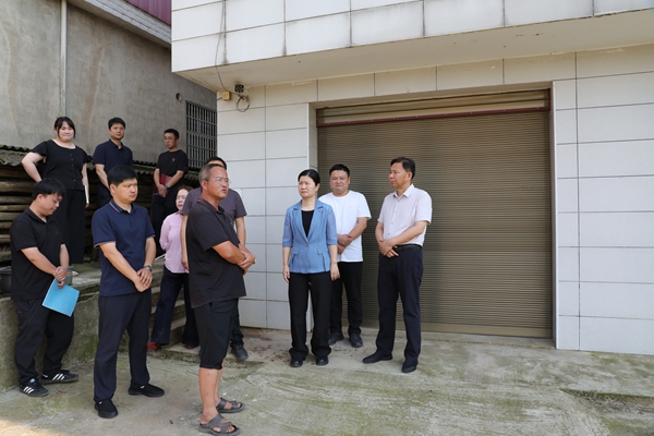 翦鹰、郭向荣赴下渔口镇调研督导重点工作