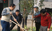 宋云文参加“珍贵树种进农家”现场植树活动