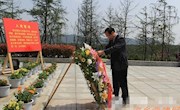 县级党员领导到临澧集体祭奠先烈 接受革命传统教育