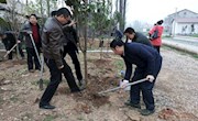 县委组织部开展送绿下乡活动