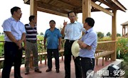 宋云文调研美丽乡村示范带建设