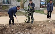 唐海芳现场调度黄山岗村精准扶贫工作