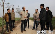 宋云文：像植树一样把贫困群众致富奔小康的根栽下去