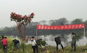 安康乡机关党支部开展义务植树主题党日活动