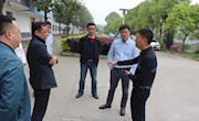 本部：扎实开展乡镇党委换届督查指导工作