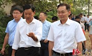 张阳：用党建统领美丽乡村建设工作