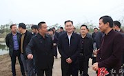 张阳：建设美丽乡村 发展有机产业 推进全域旅游