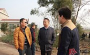 黄旭峰调研指导陈家嘴镇美丽乡村建设