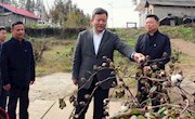 曹立军：调研安乡脱贫攻坚工作 强调要深入学习贯彻党的十九大精神