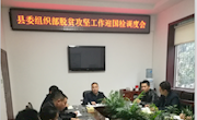 唐海芳督导脱贫攻坚迎国检工作