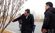 张阳：长岭公园是安乡绿化理念、海绵理念的综合体现每一处细节都要精益求精