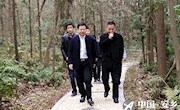 吴兴国调研黄山头生态旅游开发工作