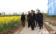 张阳调研指导中国（安乡）大鲸港镇第二届油菜花节筹备工作