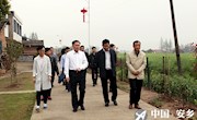 张阳：紧抓“一镇五村”发展机遇 坚定不移抓重点补短板强弱项