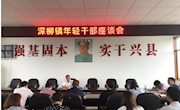 安乡：组织部长与乡镇年轻干部座谈