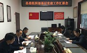 安乡：吴兴国调研县委组织部基层党建工作