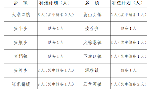 安乡县村（社区）综合服务平台中心主任 （党建联络员）补充选聘公告